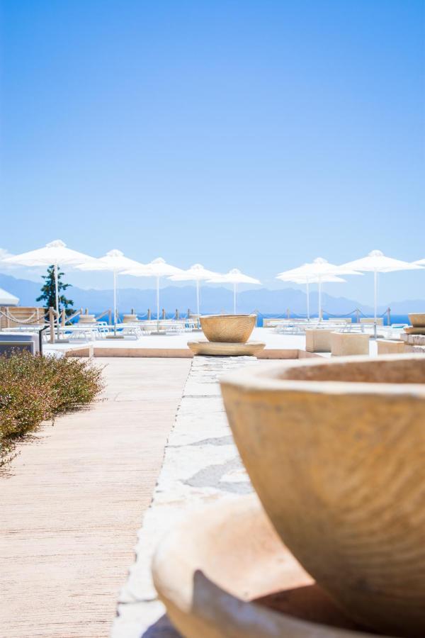 Hotel White Donkey Boutique (adults Only) 4*