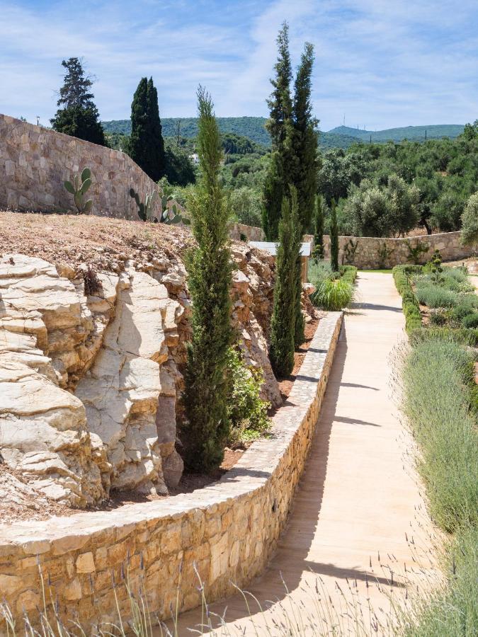 Hotel White Donkey Boutique (adults Only) 4*
