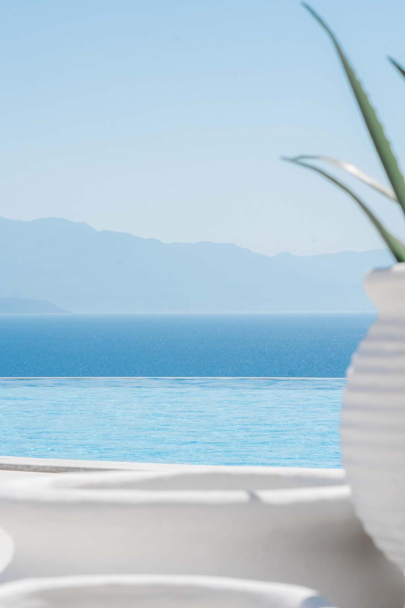 White Donkey Boutique (adults Only) 4*