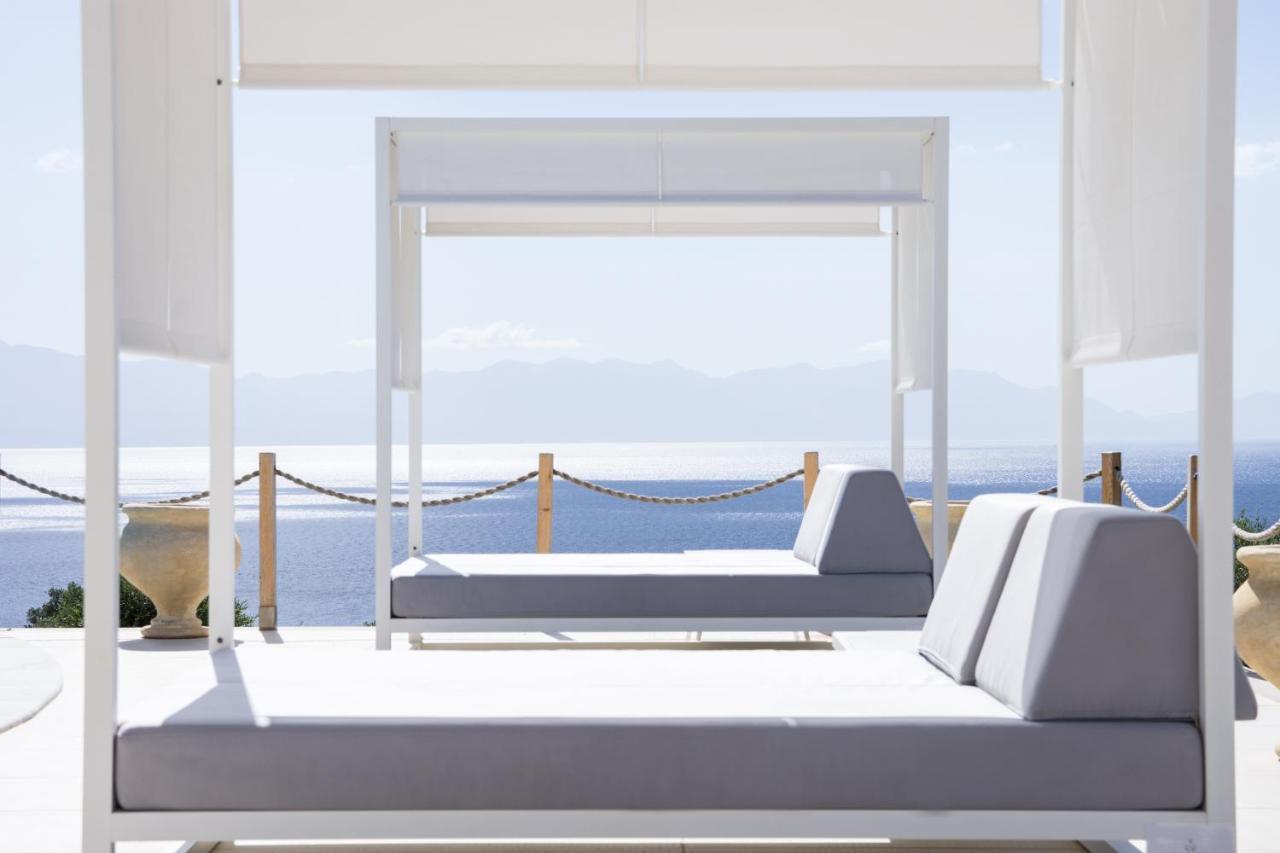 Hotel White Donkey Boutique (adults Only)